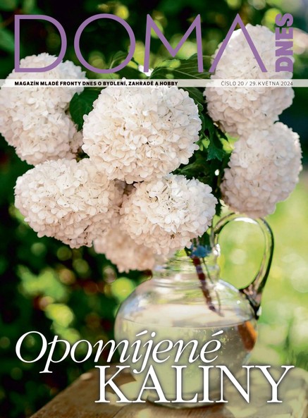 DOMA DNES - 29.05.2024