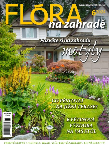 Flóra 6-2024