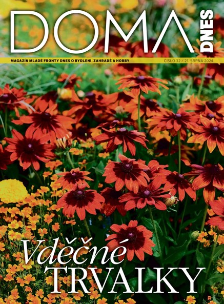 DOMA DNES - 21.08.2024