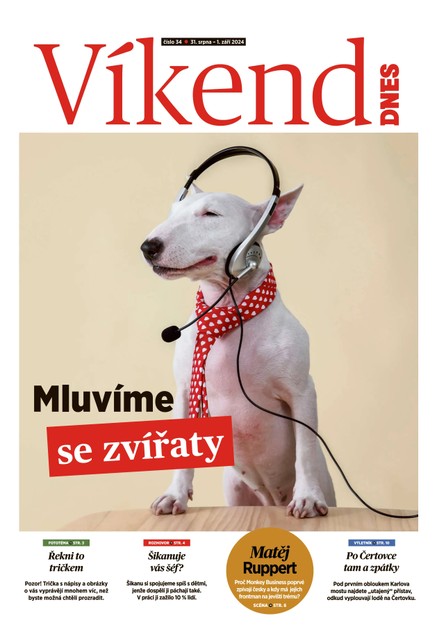 Víkend DNES Jižní Čechy - 31.08.2024