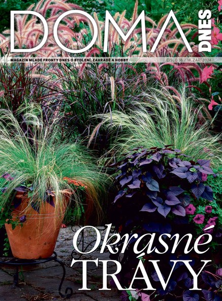 DOMA DNES - 18.09.2024