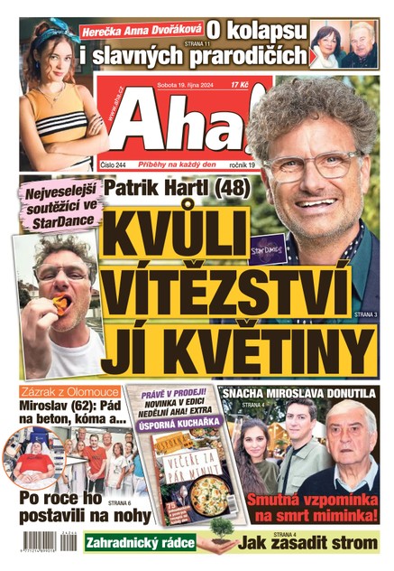 AHA! - 19.10.2024