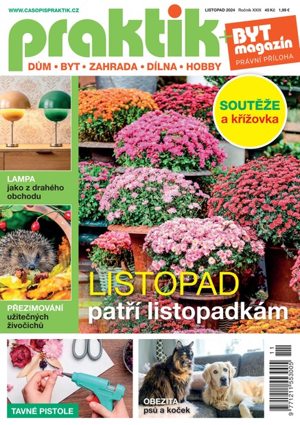 PRAKTIK & příloha Byt magazín 11/2024