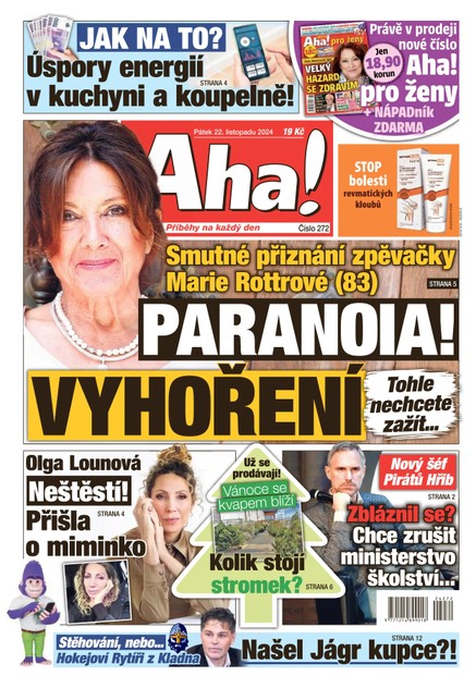 AHA! - 22.11.2024