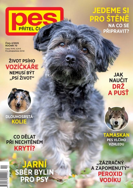 Pes přítel člověka 4/2025