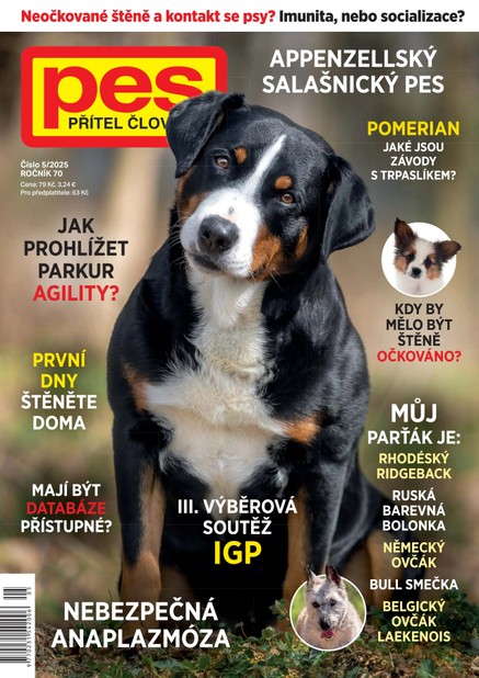 Pes přítel člověka 5/2025