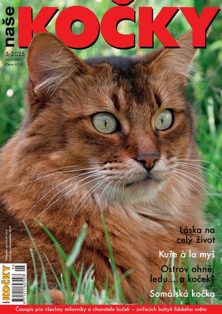 Naše kočky, 05-2025