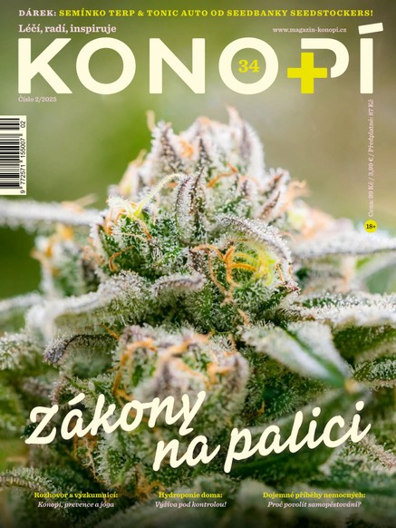 Konopí č. 34