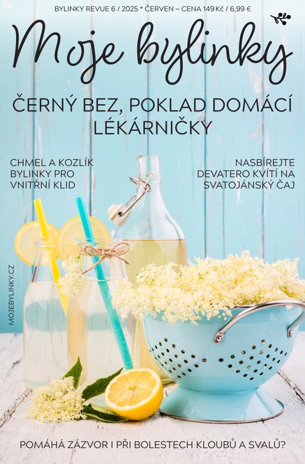 Bylinky 6/2025