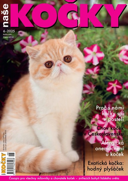 Naše kočky, 06-2025