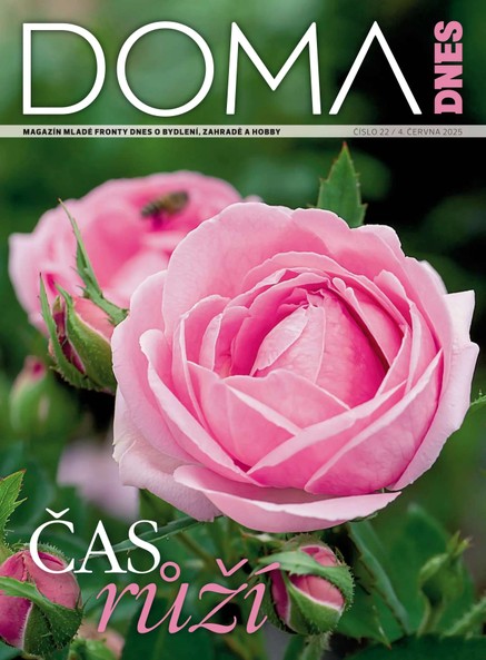 DOMA DNES - 04.06.2025