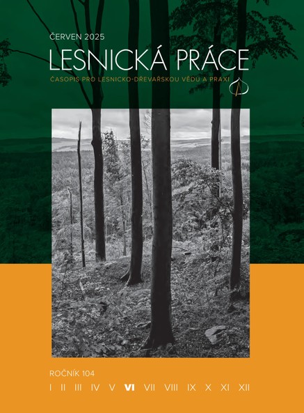 lesnicka prace 2025 06
