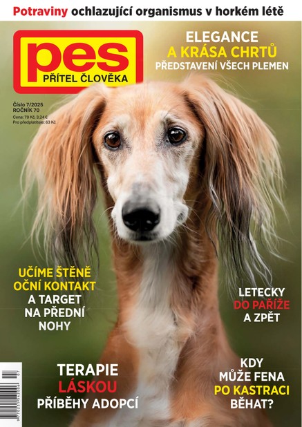 Pes přítel člověka 7/2025