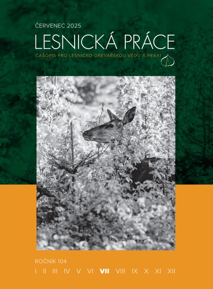 lesnicka prace 2025 07