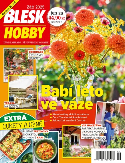 BLESK HOBBY - 9/2025
