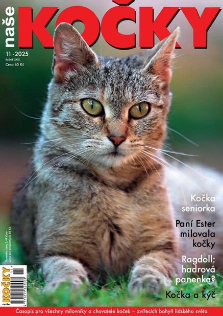 Naše kočky, 11-2025