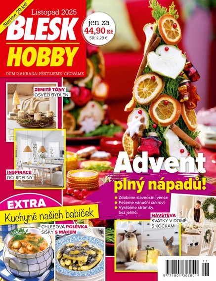 BLESK HOBBY - 11/2025