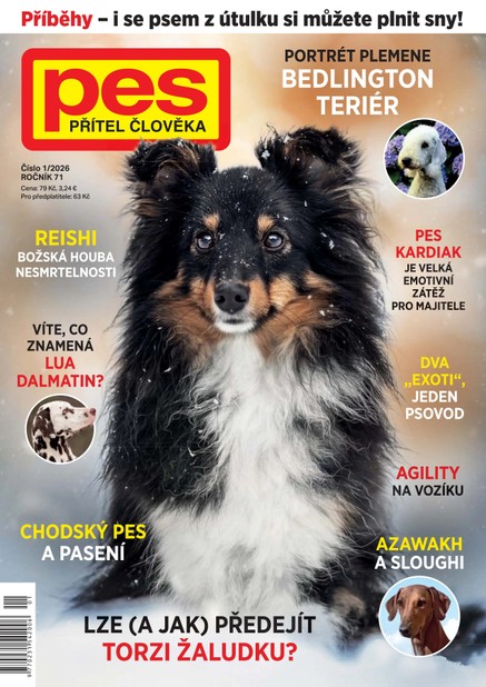 Pes přítel člověka 1/2026
