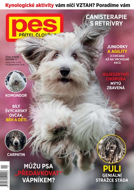 Pes přítel člověka 4/2026