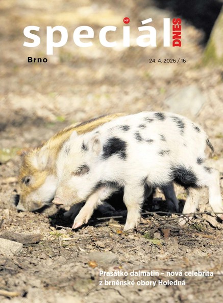 Magazín DNES Speciál Brno a Jižní Morava - 24.04.2026