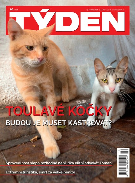 Týden 10