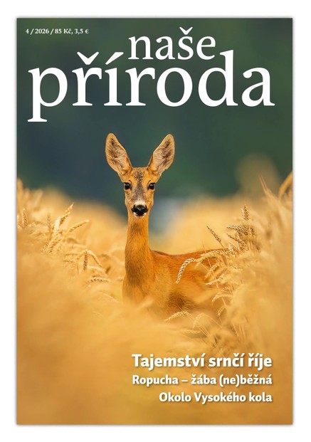 Naše příroda 4/2026