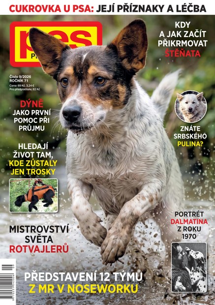 Pes přítel člověk 9/2026