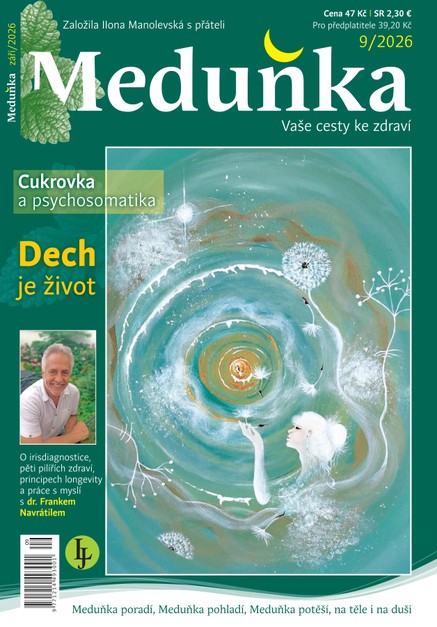 Meduňka 9/2026