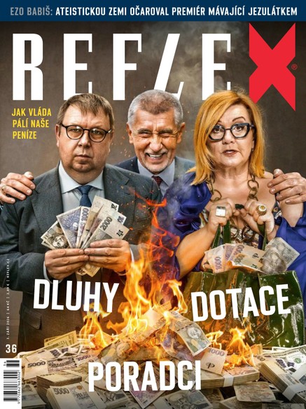 REFLEX - 36/2026