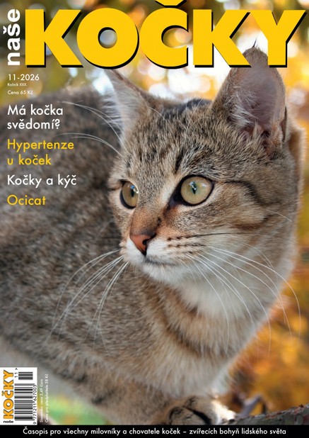 Naše kočky, 11-2026