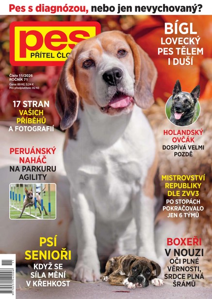 Pes přítel člověka