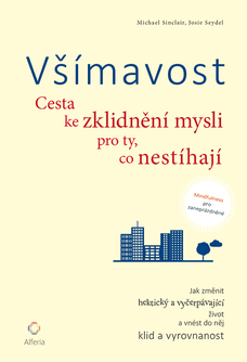 Všímavost