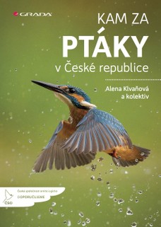 Kam za ptáky v České republice