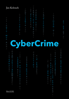 CyberCrime