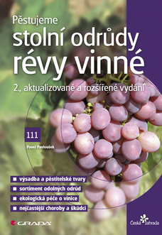 Pěstujeme stolní odrůdy révy vinné