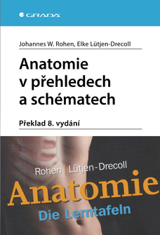 Anatomie v přehledech a schématech