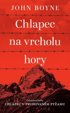 Chlapec na vrcholu hory