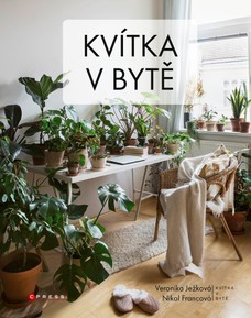 Kvítka v bytě