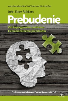 Prebudenie