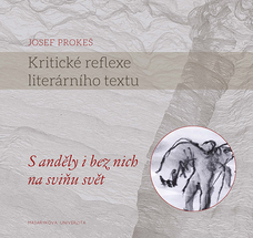 Kritické reflexe literárního textu