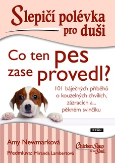 Slepičí polévka pro duši: Co ten pes zase provedl?