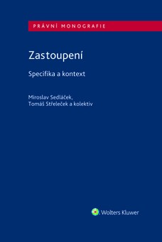 Zastoupení - Specifika a kontext