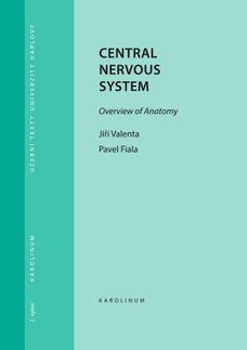 Central Nervous System