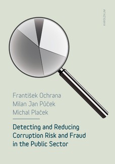 Detecting and reducing corruption risk and fraud in the public sector