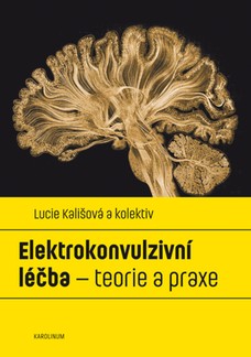Elektrokonvulzivní léčba – teorie a praxe