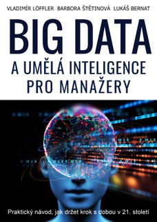 BIG DATA a umělá inteligence pro manažery