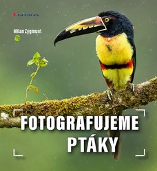 Fotografujeme ptáky