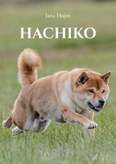 Hachiko, najvernejší pes na svete