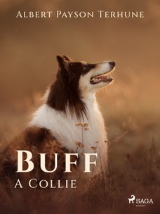 Buff: A Collie