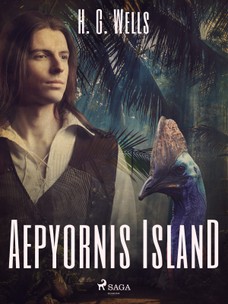 Aepyornis Island